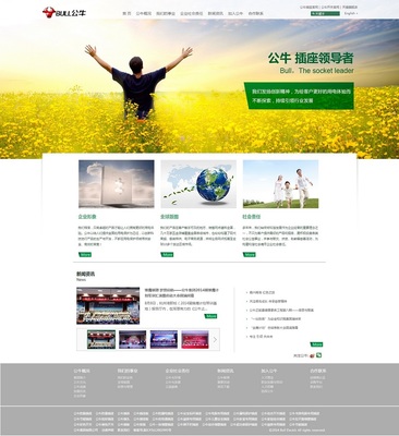 青浦設(shè)計服務(wù)與軟件開發(fā) 打造全方位品牌與數(shù)字化解決方案